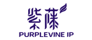 紫藤